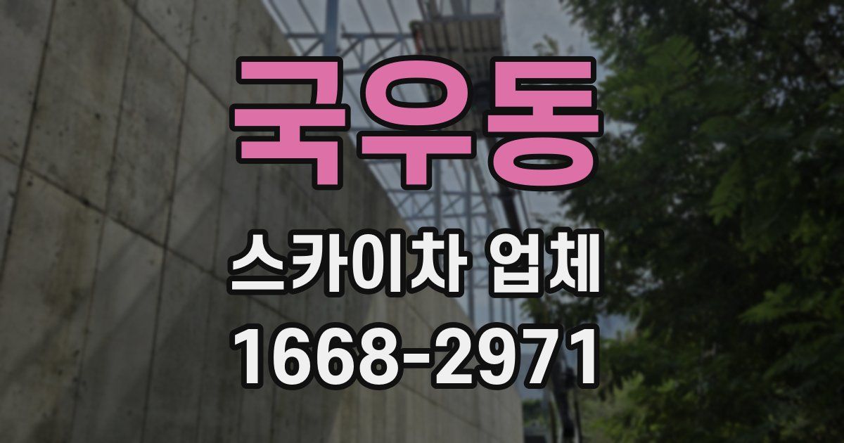 국우동 스카이차 업체