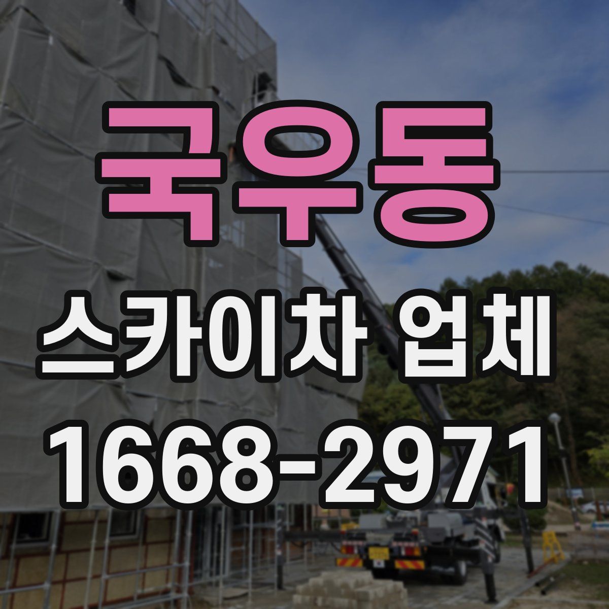 국우동 스카이차 업체