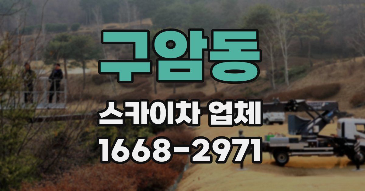구암동 스카이차 업체