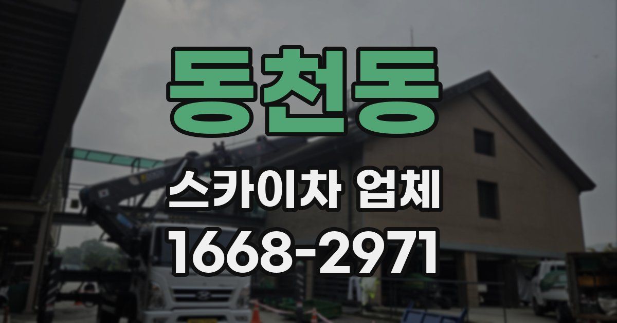 동천동 스카이차 업체