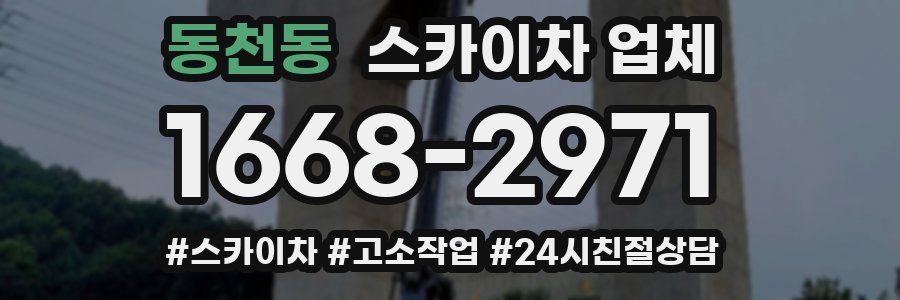 동천동 스카이차 업체