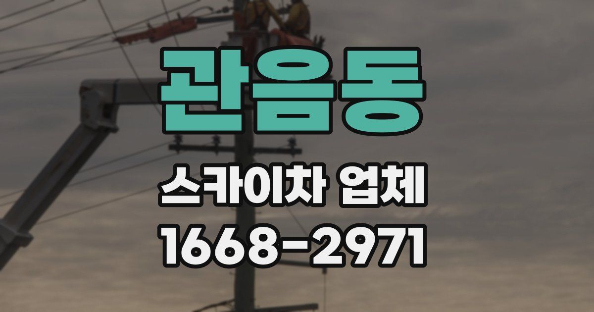 관음동 스카이차 업체