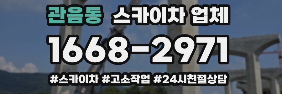 관음동 스카이차 업체