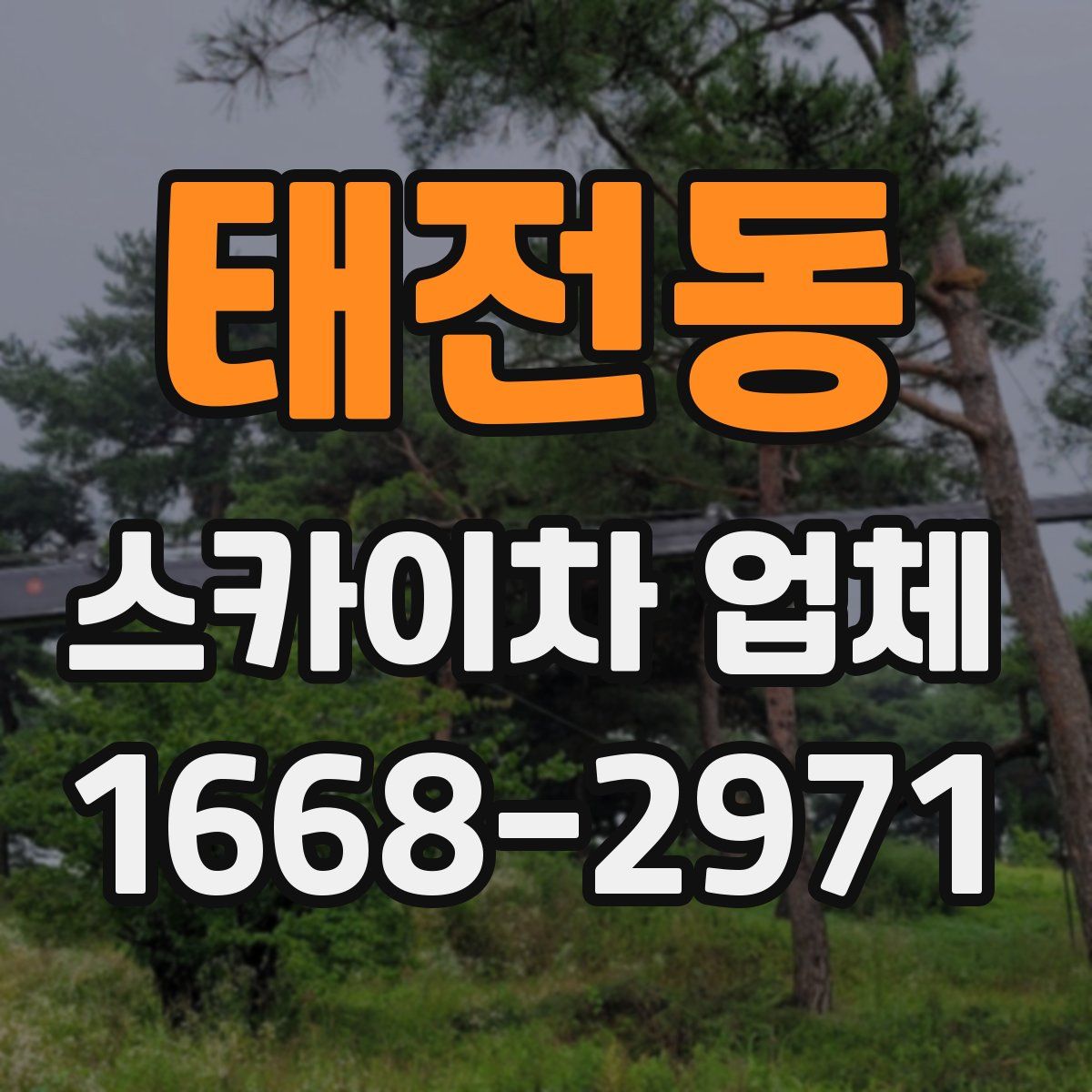 태전동 스카이차 업체