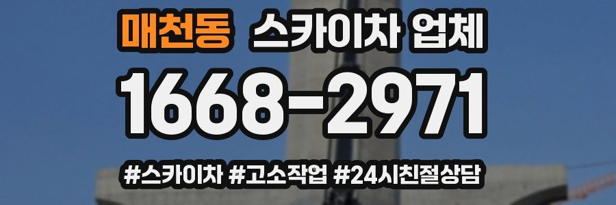 매천동 스카이차 업체