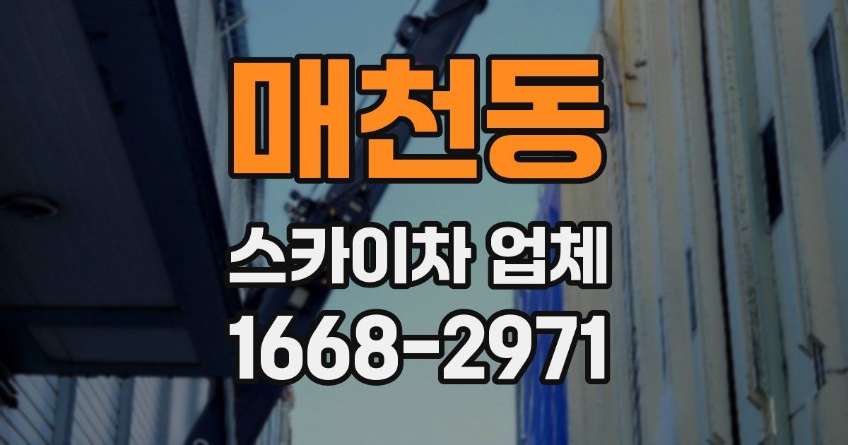 매천동 스카이차 업체