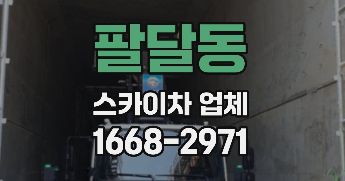 팔달동 스카이차 업체