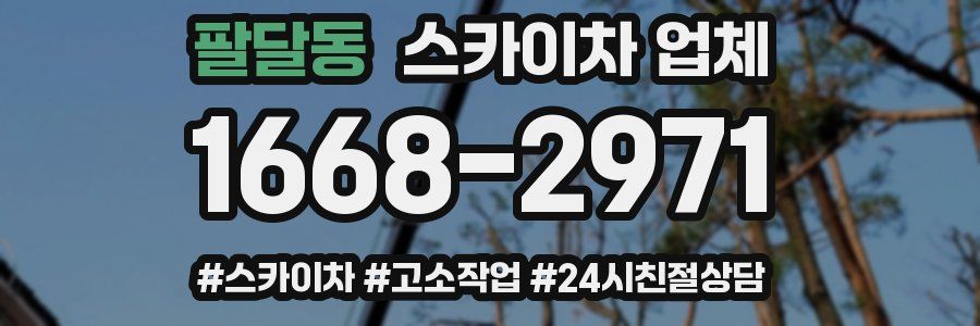 팔달동 스카이차 업체