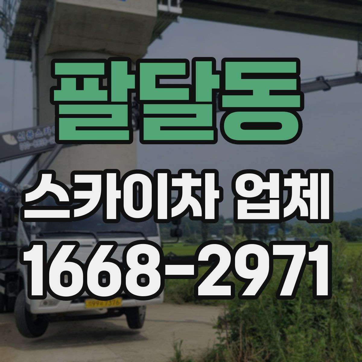 팔달동 스카이차 업체