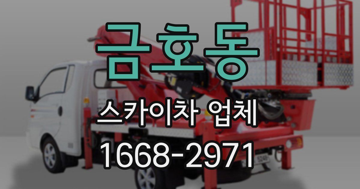 금호동 스카이차 업체