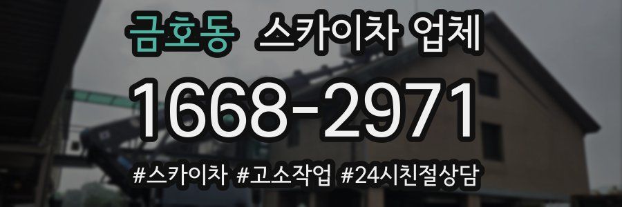 금호동 스카이차 업체