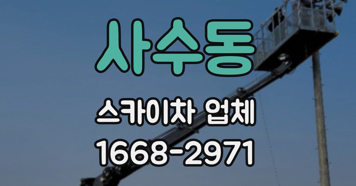 사수동 스카이차 업체