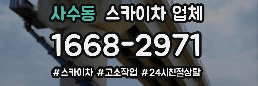 사수동 스카이차 업체