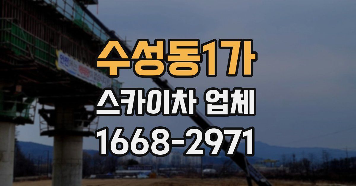 수성동1가 스카이차 업체