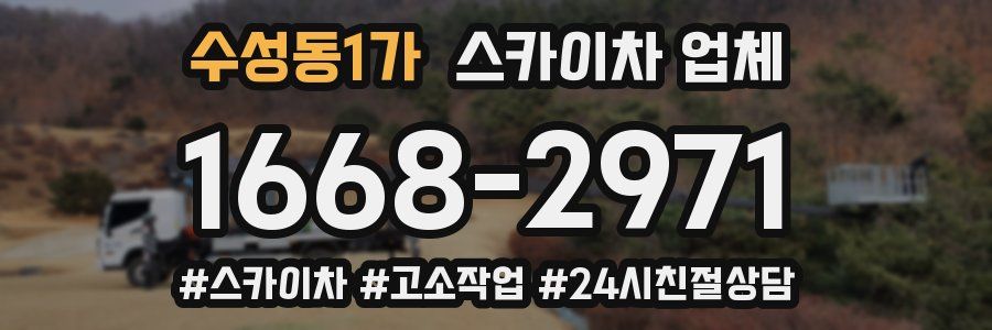 수성동1가 스카이차 업체