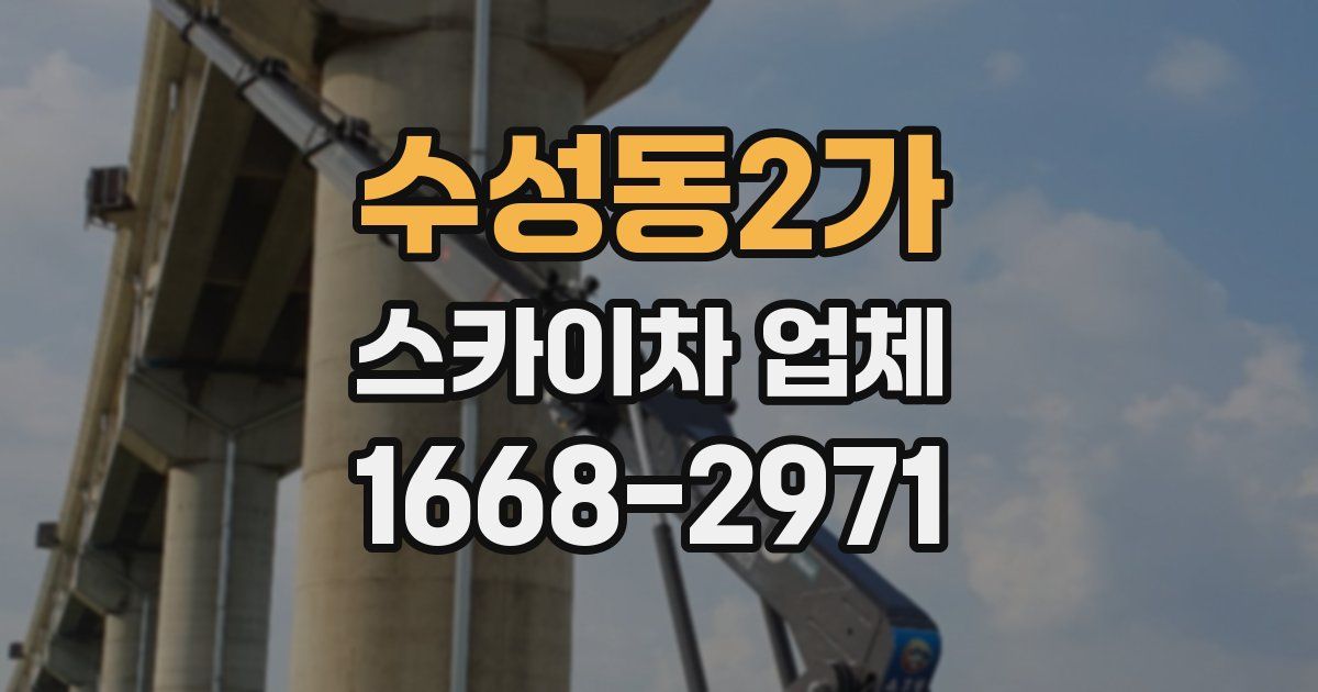 수성동2가 스카이차 업체