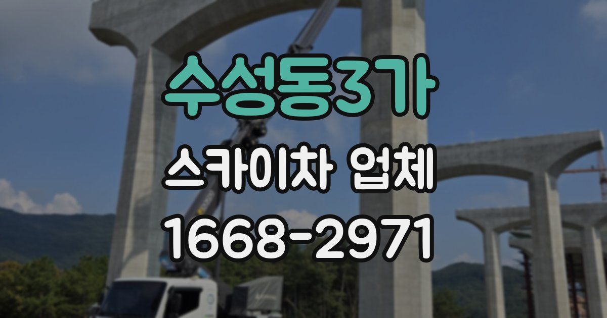 수성동3가 스카이차 업체