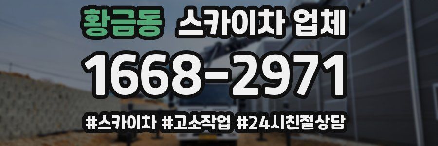 황금동 스카이차 업체