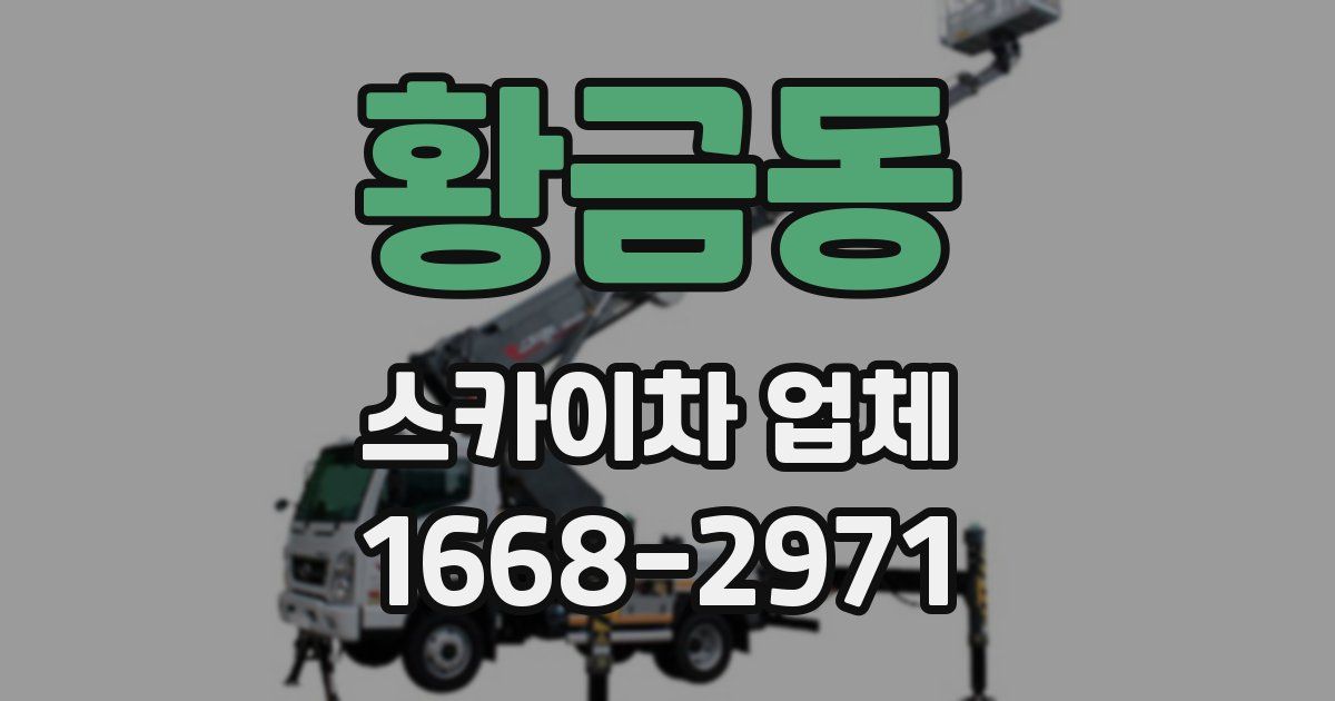 황금동 스카이차 업체