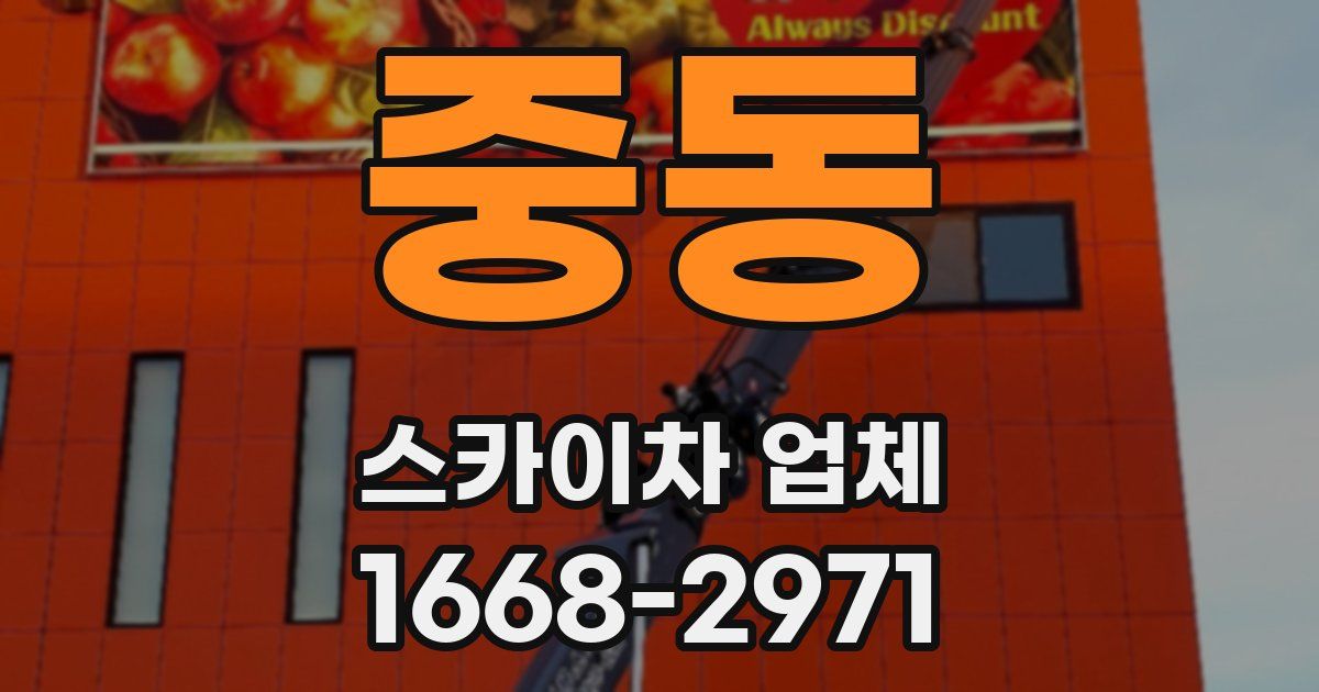 중동 스카이차 업체