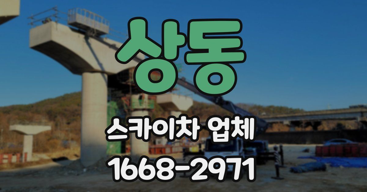 상동 스카이차 업체