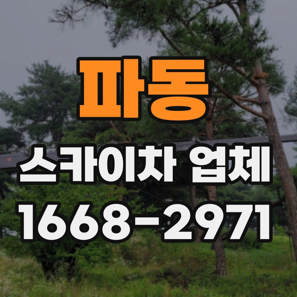 파동 스카이차 업체