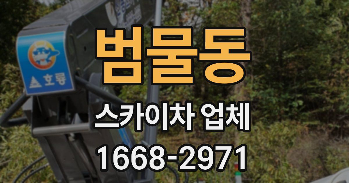 범물동 스카이차 업체