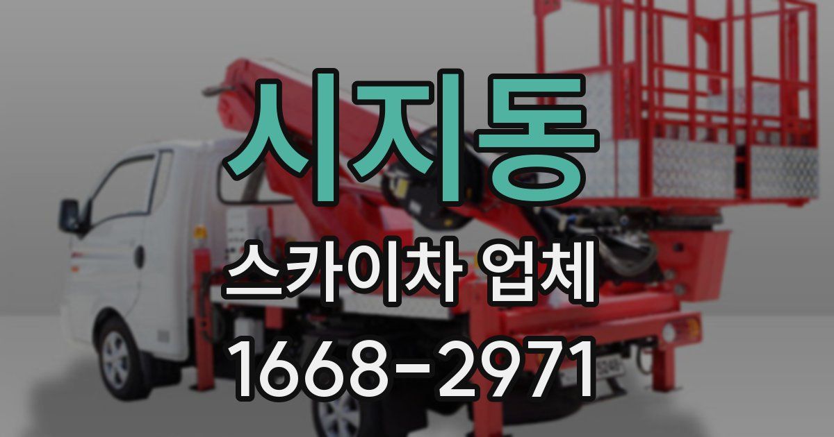 시지동 스카이차 업체