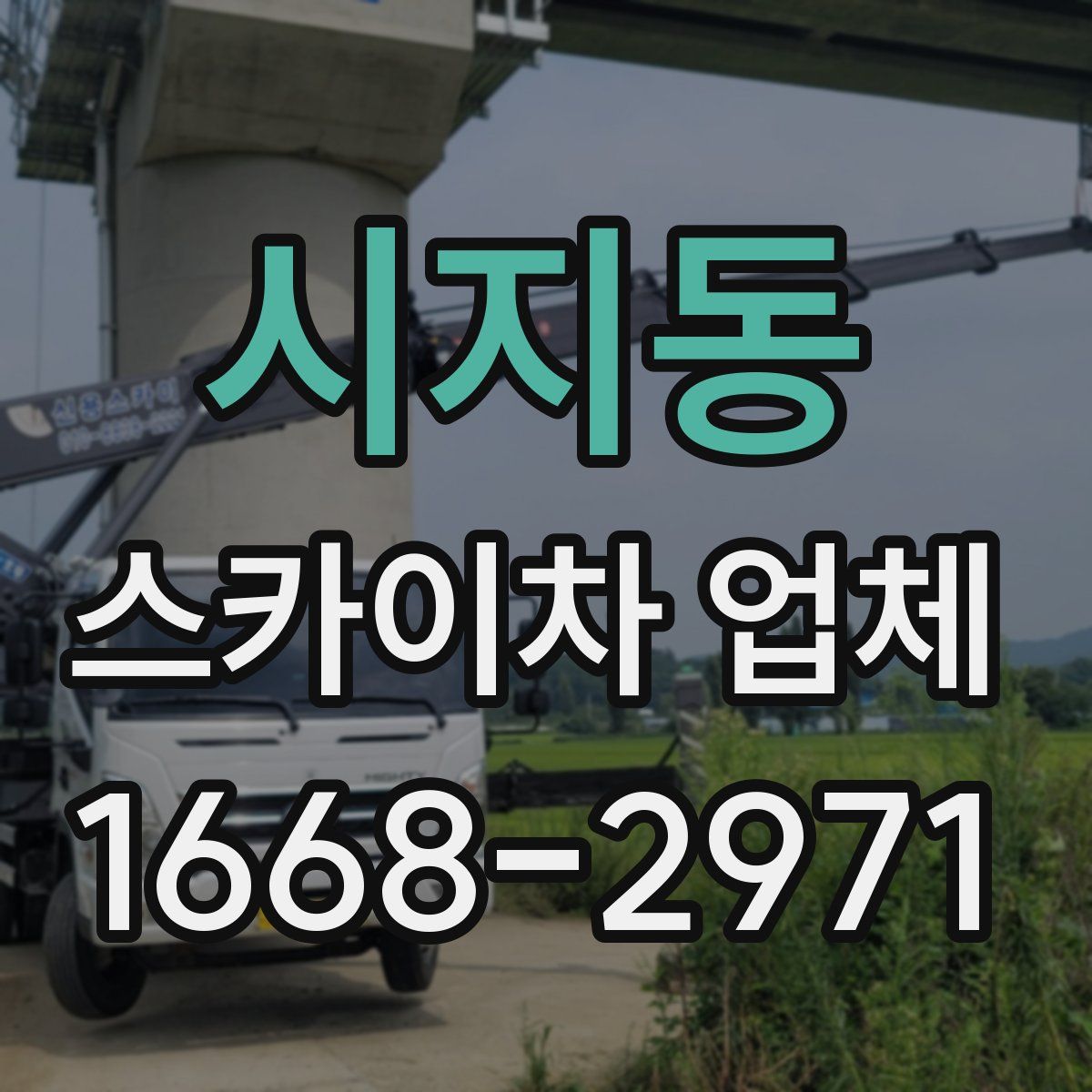 시지동 스카이차 업체