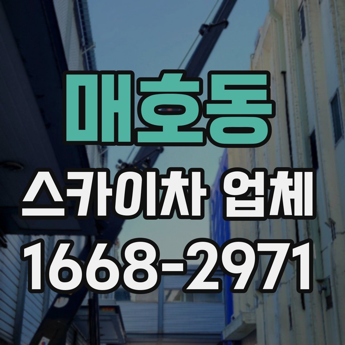 매호동 스카이차 업체