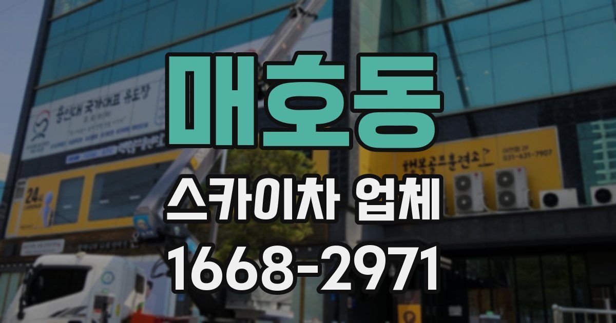 매호동 스카이차 업체