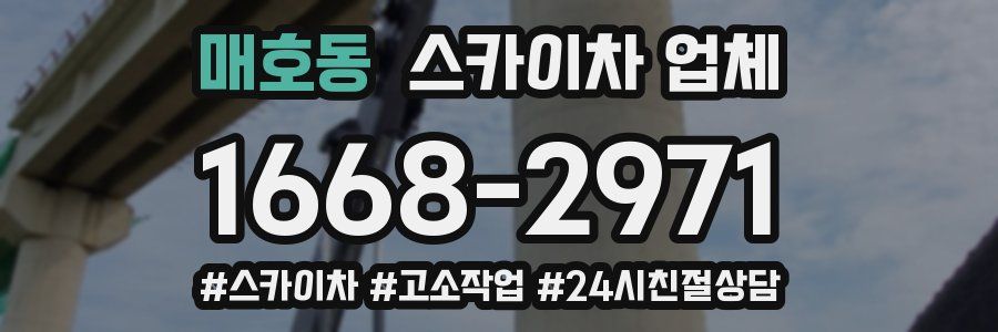 매호동 스카이차 업체
