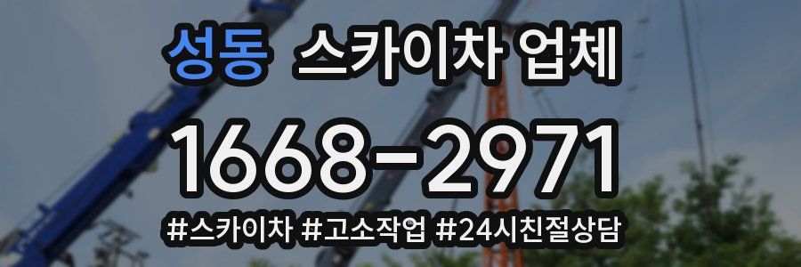 성동 스카이차 업체