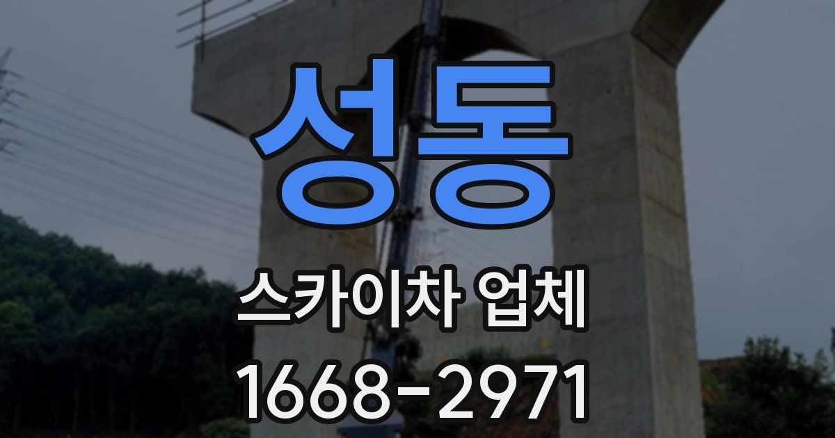 성동 스카이차 업체