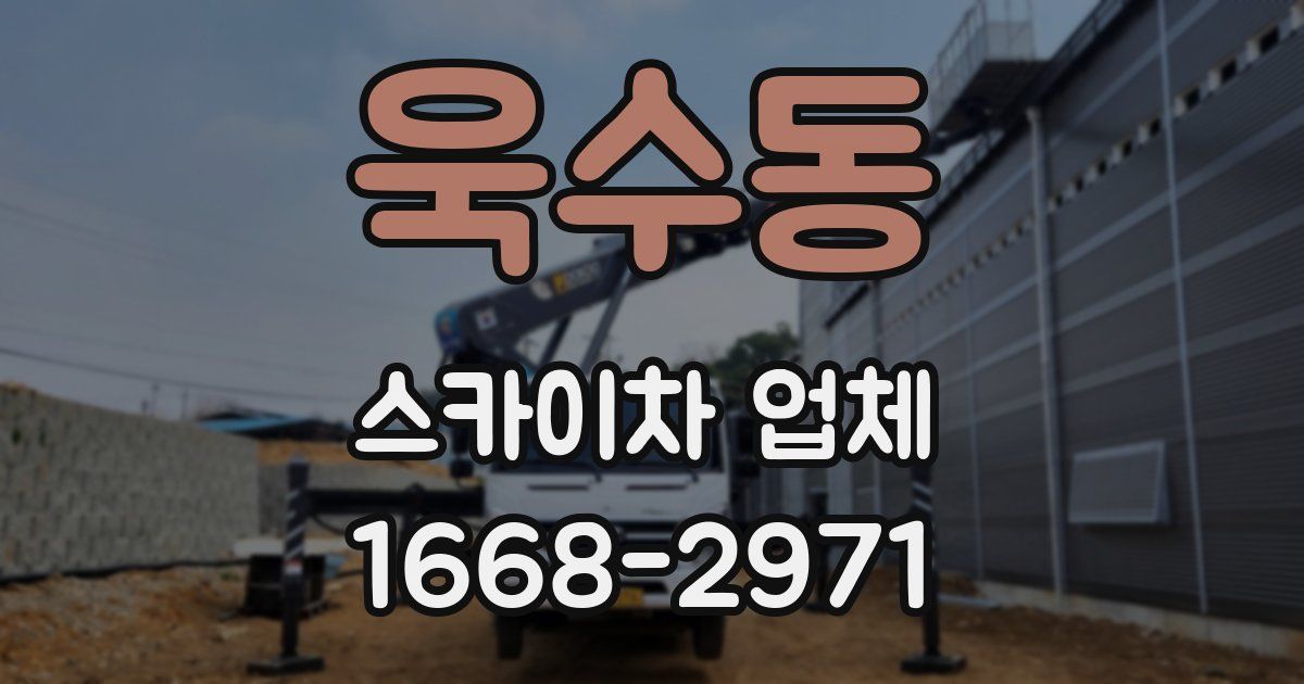 욱수동 스카이차 업체