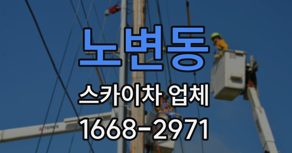 노변동 스카이차 업체