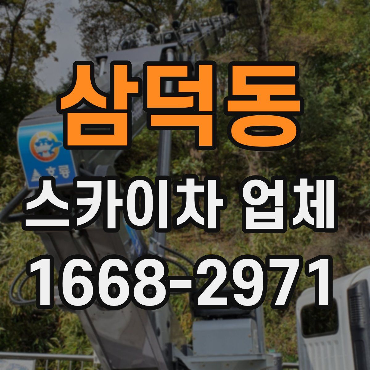 삼덕동 스카이차 업체