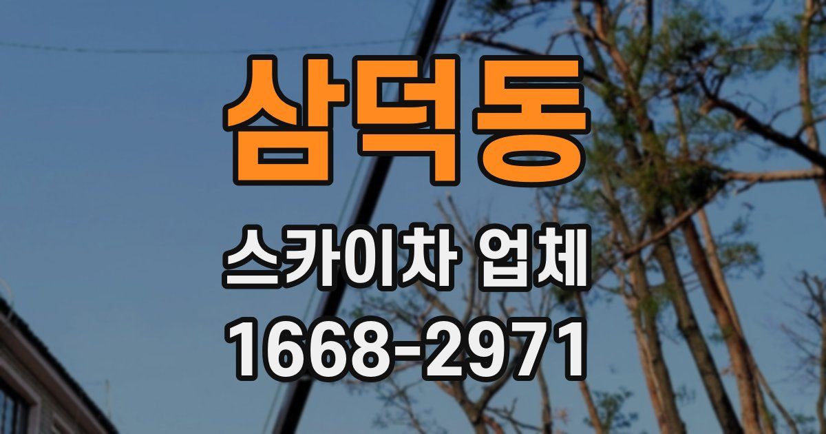 삼덕동 스카이차 업체