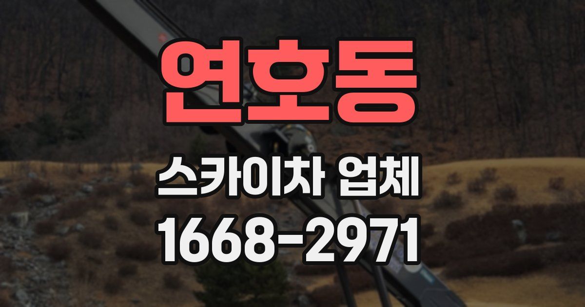 연호동 스카이차 업체