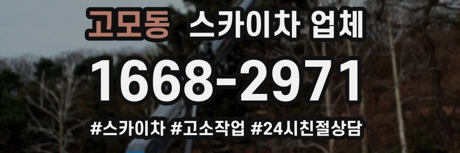 고모동 스카이차 업체