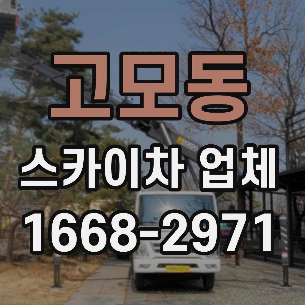 고모동 스카이차 업체