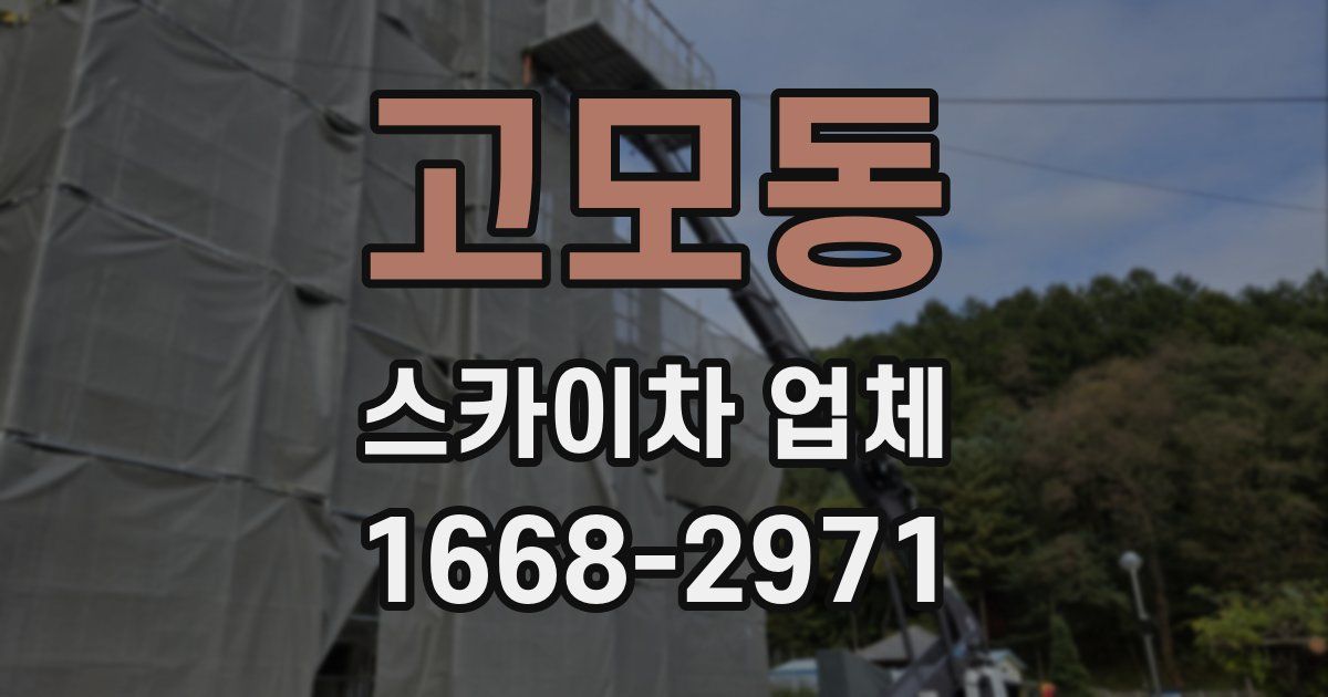 고모동 스카이차 업체