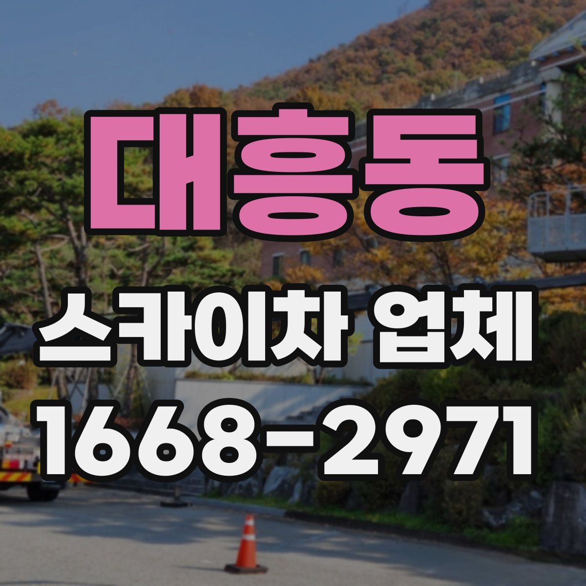 대흥동 스카이차 업체