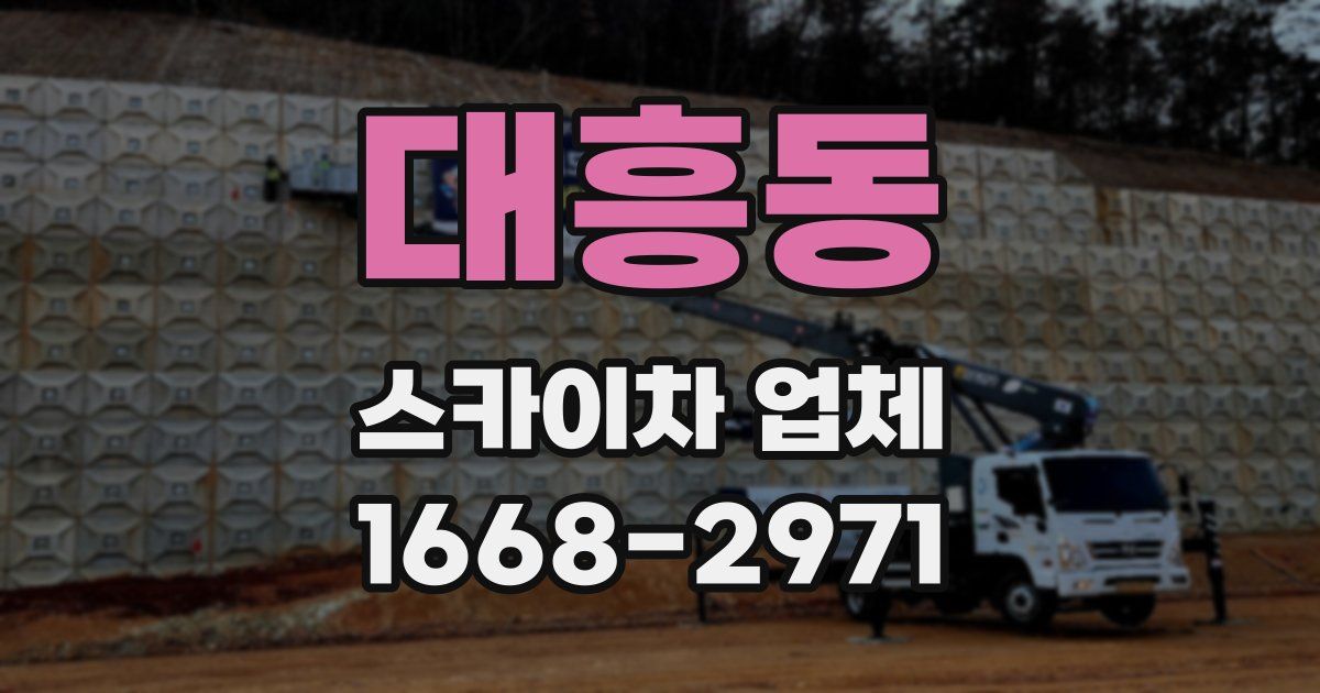 대흥동 스카이차 업체