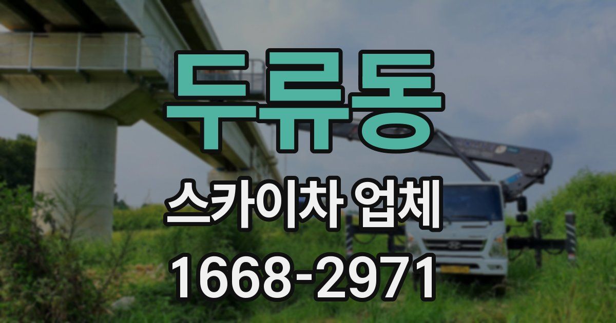 두류동 스카이차 업체