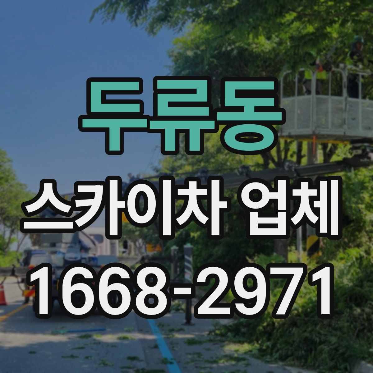 두류동 스카이차 업체