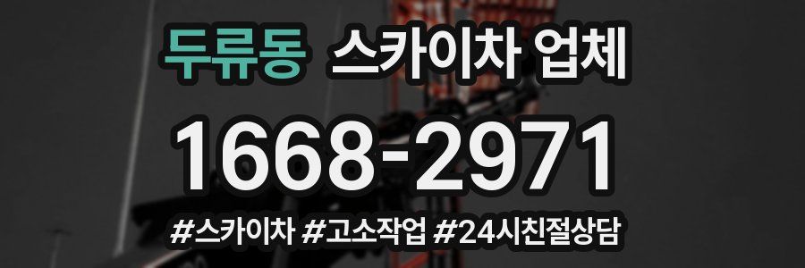 두류동 스카이차 업체