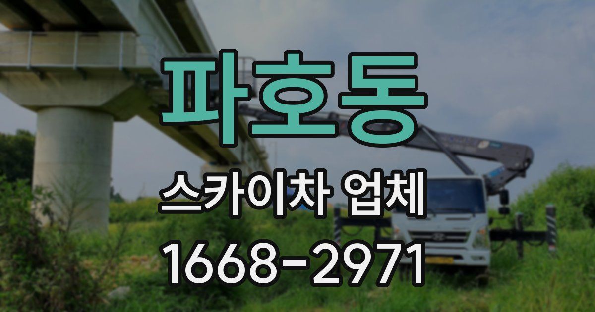 파호동 스카이차 업체