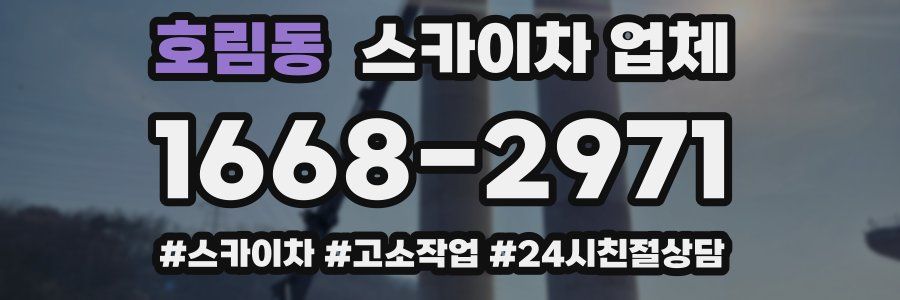호림동 스카이차 업체