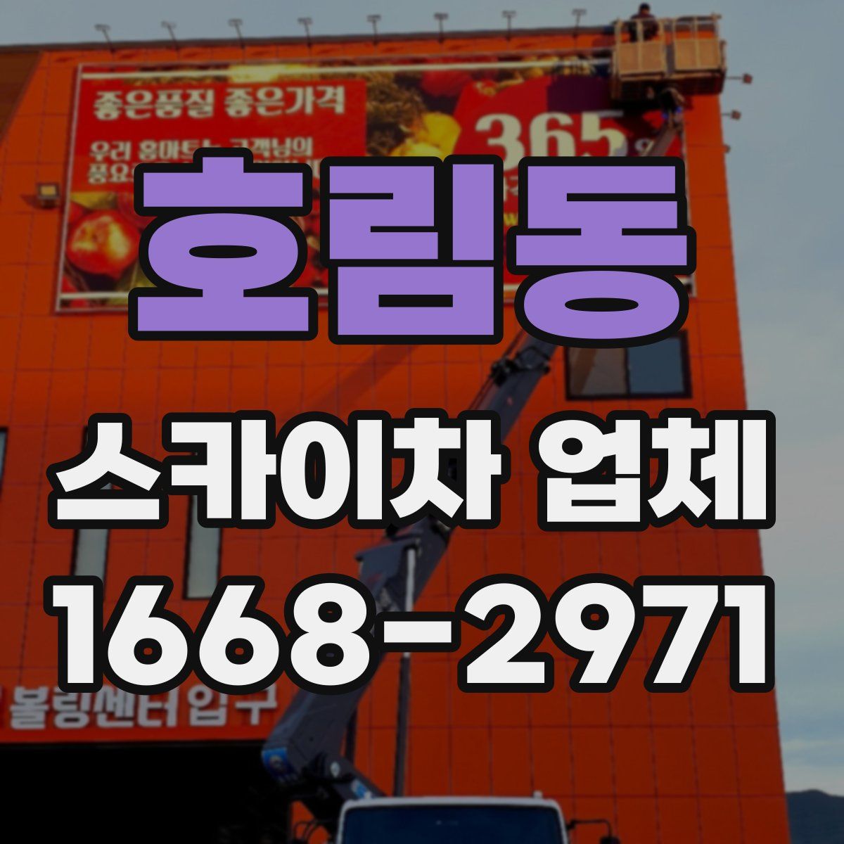 호림동 스카이차 업체